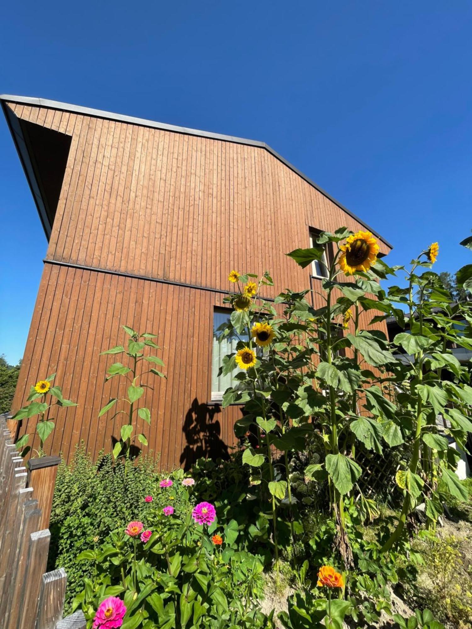 Hof In Der Au Salzweg